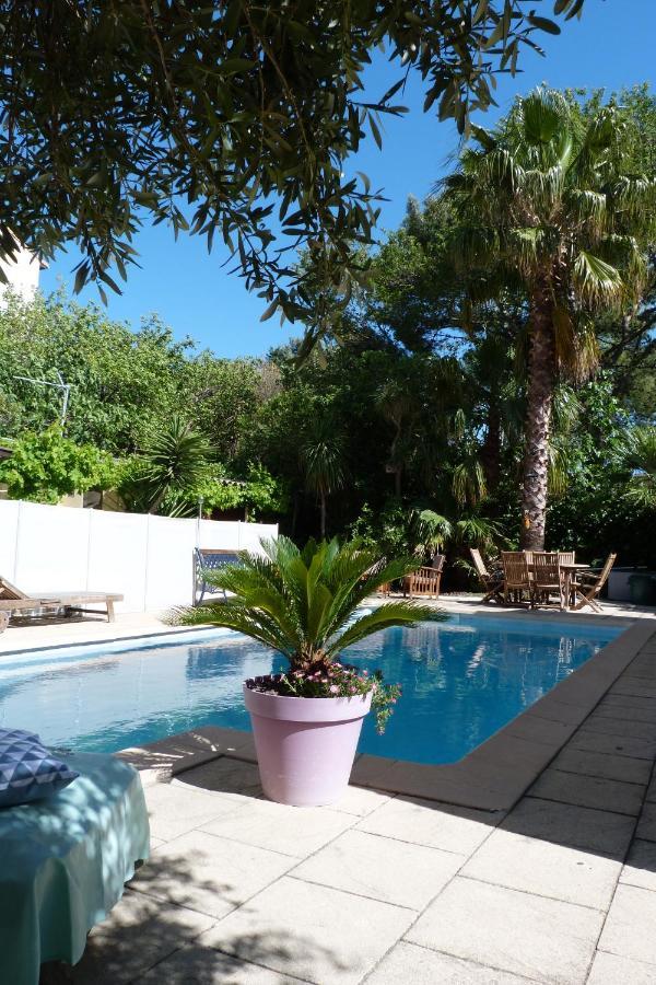 Villa Maison Jardin Grande Piscine , Sortie Bateau Possible